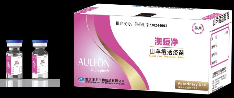 生物技术研发：推动生命科学的翅膀