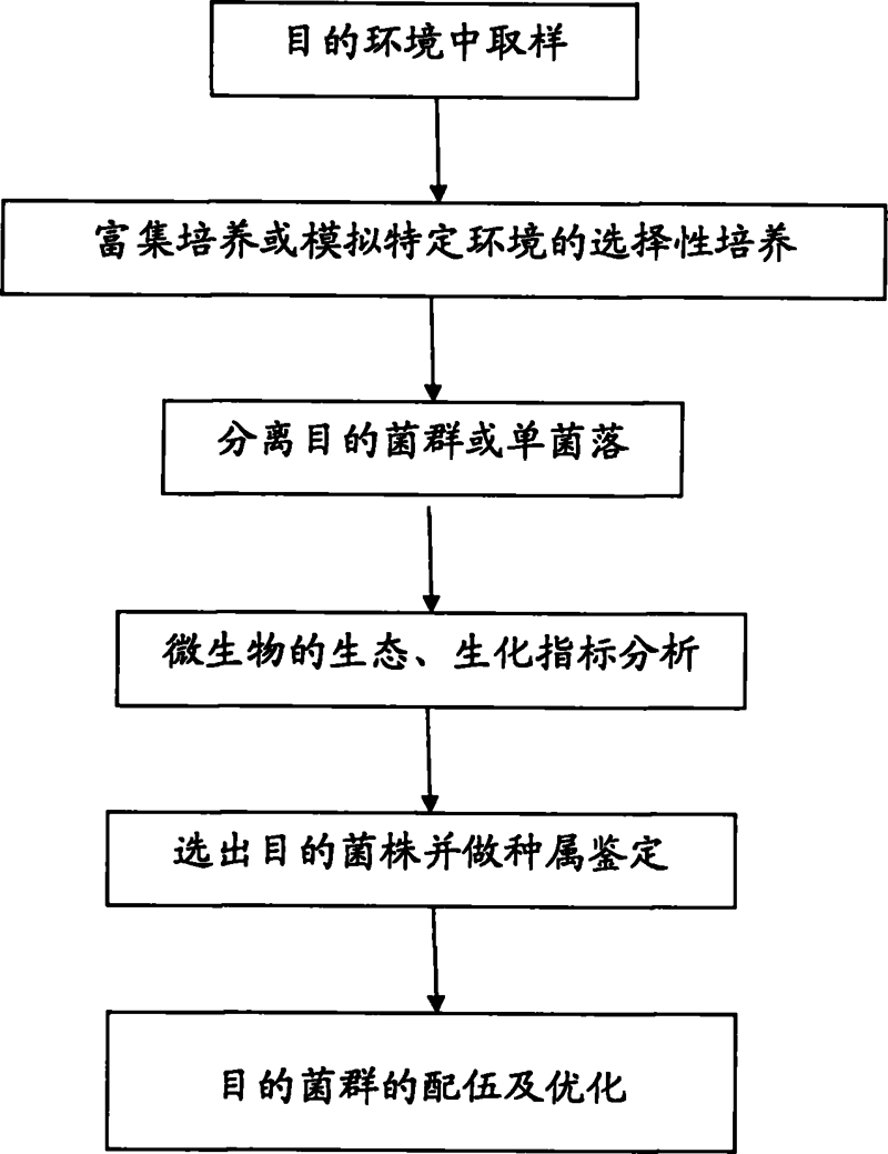 详解发酵工程选购指南