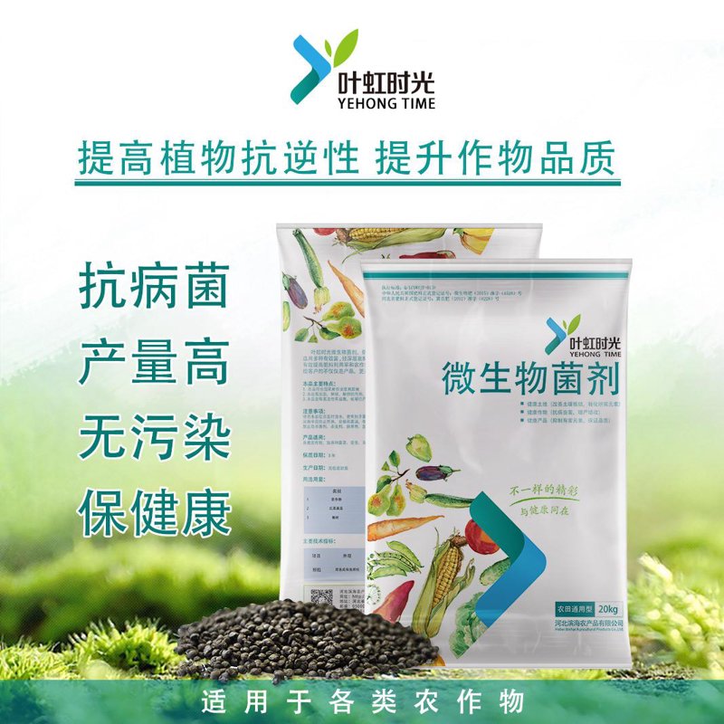 生物技术研发：未来医学的新引擎