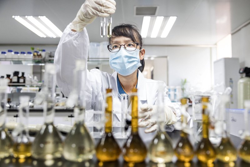 微生物菌剂在全球农业中的革命